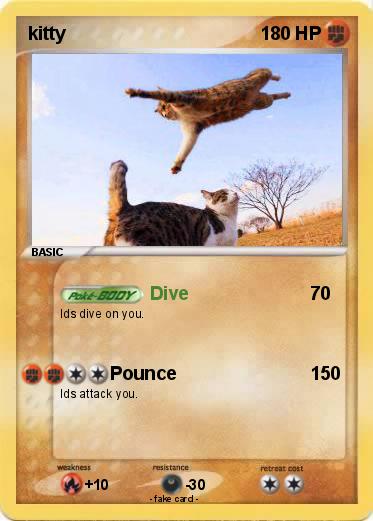 Pokemon kitty