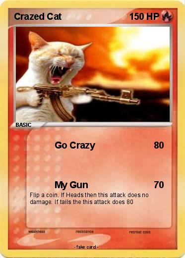 Pokemon Crazed Cat