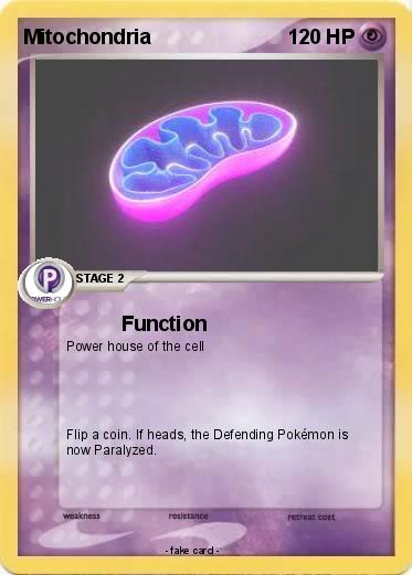 Pokemon Mitochondria