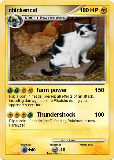 Pokemon chickencat