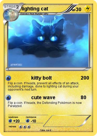 Pokemon lighting cat