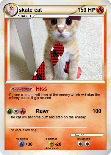Pokemon skate cat