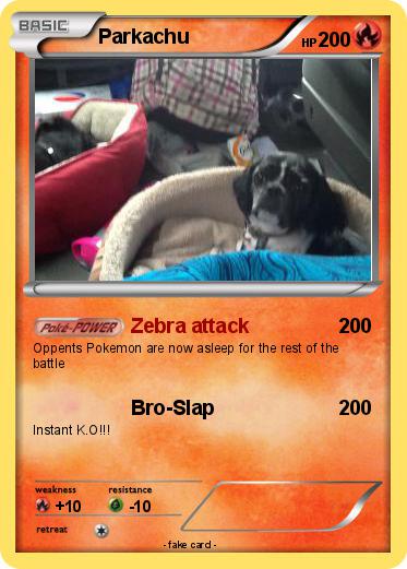 Pokemon Parkachu