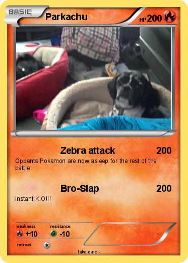 Pokemon Parkachu