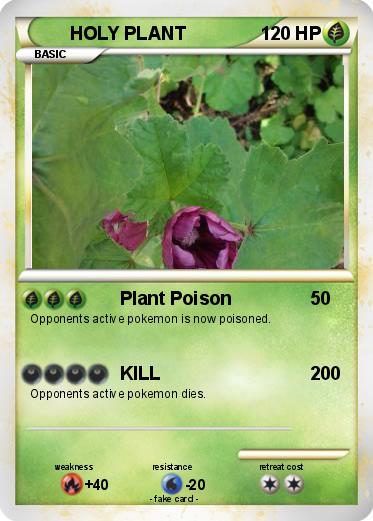 Pokemon HOLY PLANT