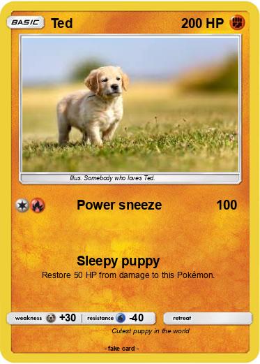 Pokemon Ted