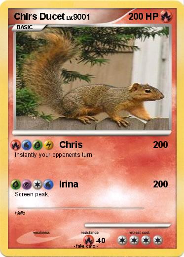 Pokemon Chirs Ducet