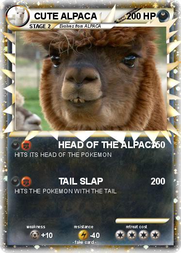 Pokemon CUTE ALPACA