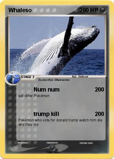 Pokemon Whaleso