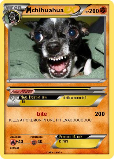 Pokemon chihuahua