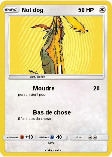 Pokemon Not dog