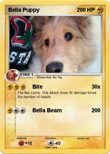 Pokemon Bella Puppy