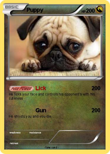 Pokemon Puppy