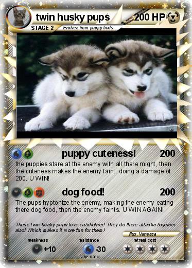 Pokemon twin husky pups