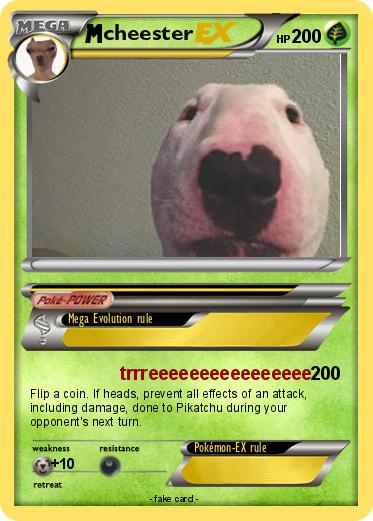 Pokemon cheester