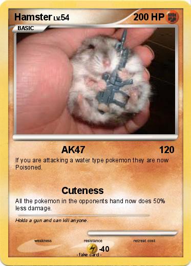 Pokemon Hamster