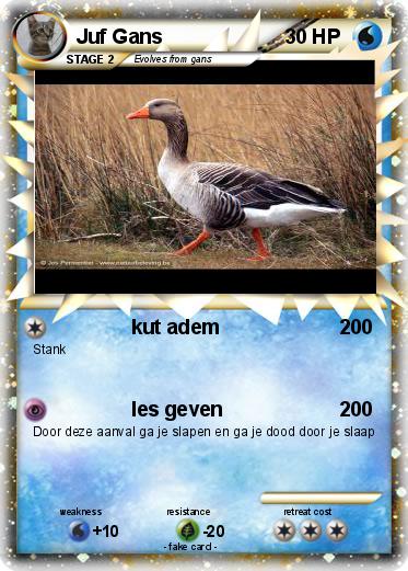 Pokemon Juf Gans