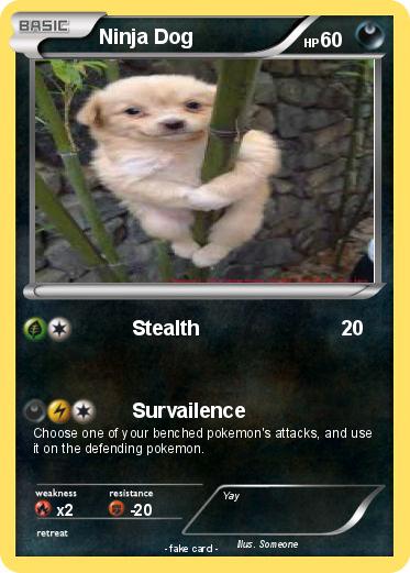 Pokemon Ninja Dog