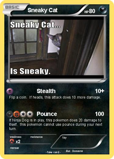 Pokemon Sneaky Cat