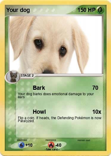 Pokemon Your dog
