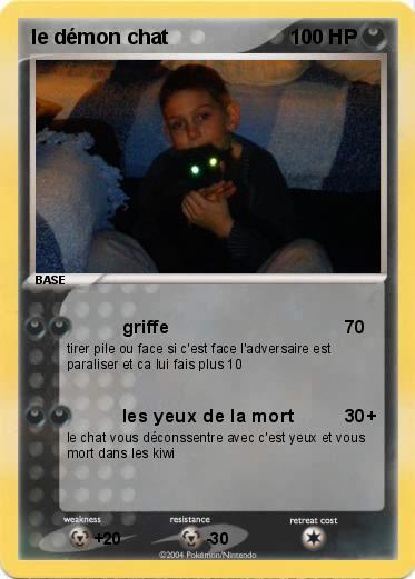 Pokemon le démon chat