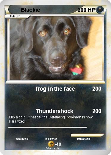 Pokemon Blackie