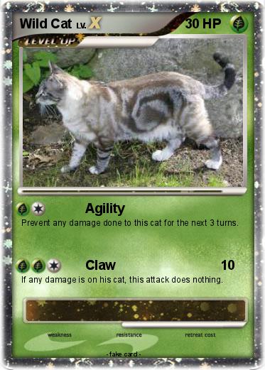 Pokemon Wild Cat