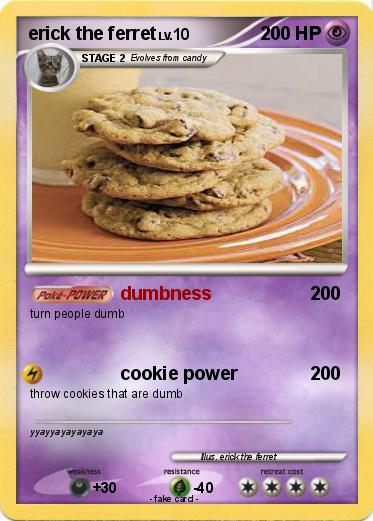 Pokemon erick the ferret