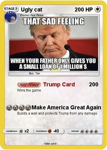 Pokemon Ugly cat