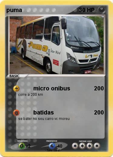 Pokemon puma