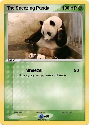 Pokemon The Sneezing Panda
