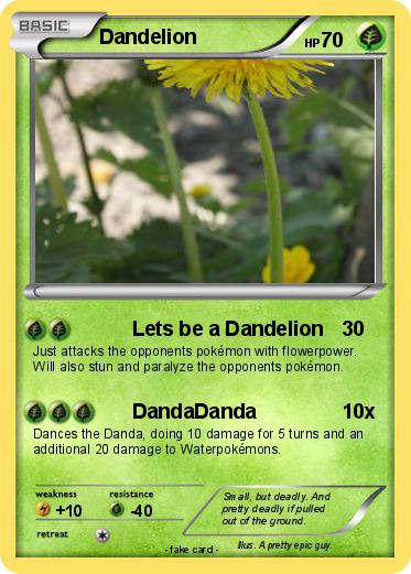 Pokemon Dandelion