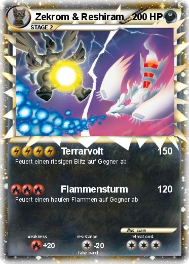 Pokemon Zekrom & Reshiram