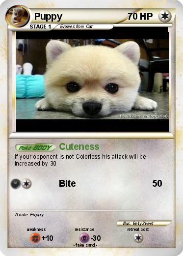 Pokemon Puppy