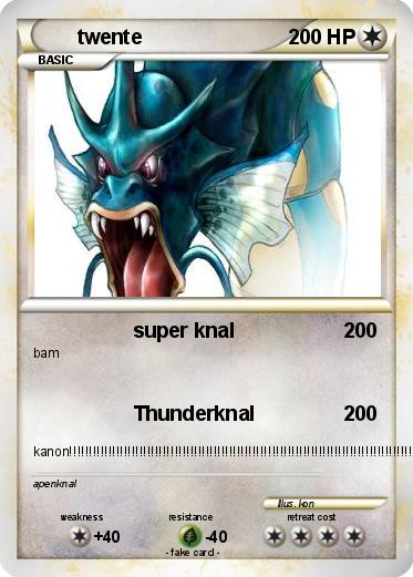 Pokemon twente