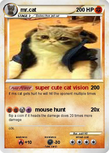 Pokemon mr.cat