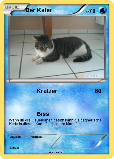 Pokemon Der Kater