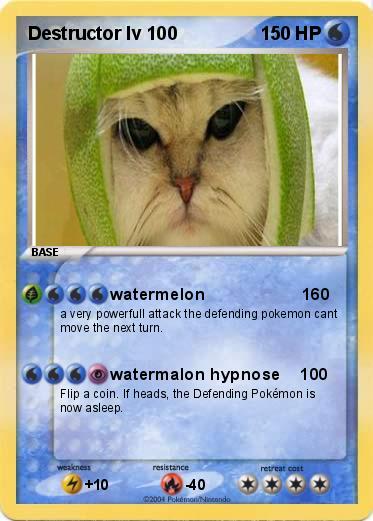 Pokemon Destructor lv 100