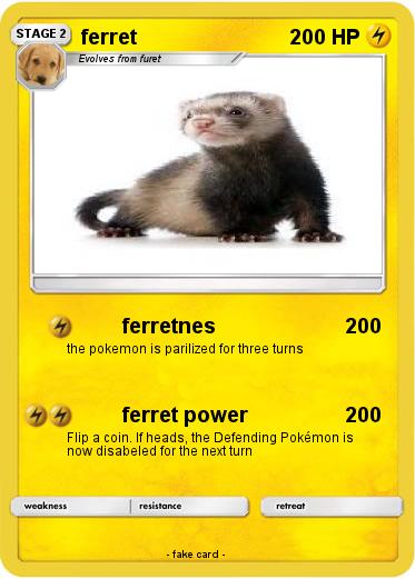 Pokemon ferret