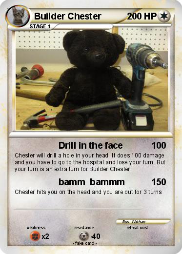 Pokemon Builder Chester