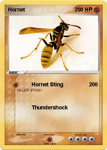 Pokemon Hornet