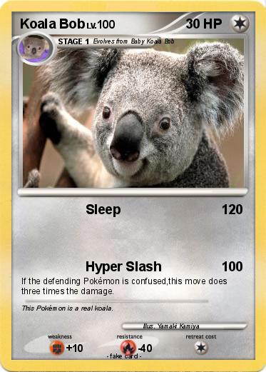 Pokemon Koala Bob
