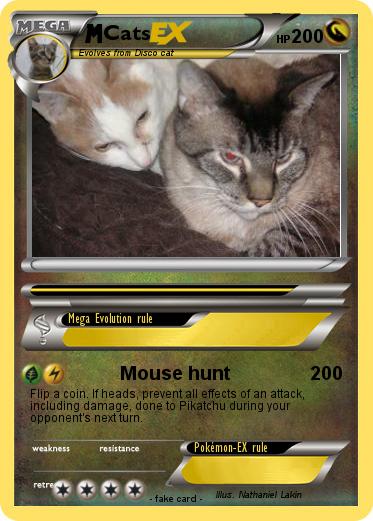 Pokemon Cats