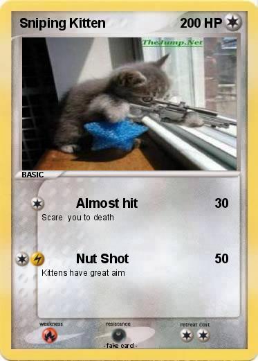 Pokemon Sniping Kitten