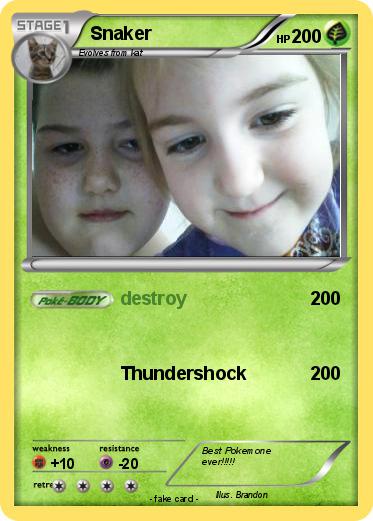 Pokemon Snaker