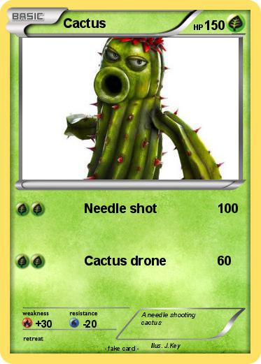 Pokemon Cactus