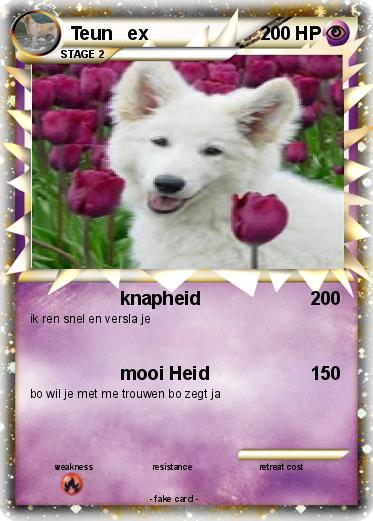 Pokemon Teun   ex