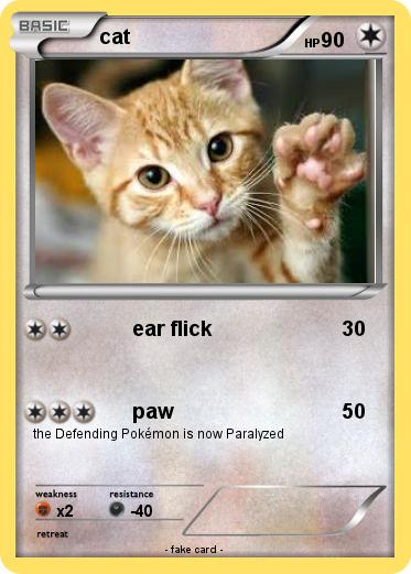 Pokemon cat