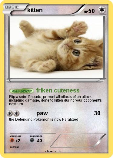 Pokemon kitten