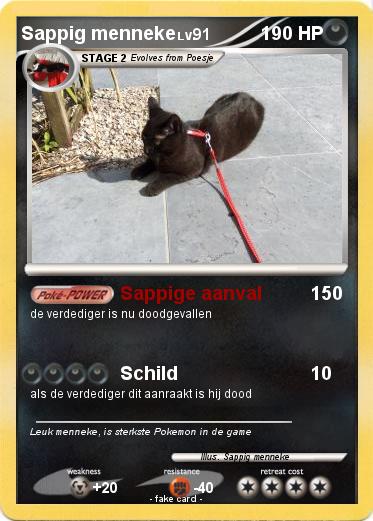 Pokemon Sappig menneke